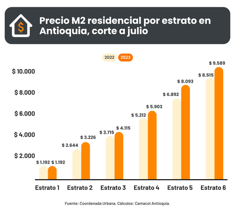 previo alternativo 