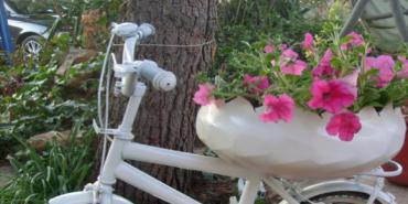 Extravagantes y económicas formas de cuidar la naturaleza desde la casa