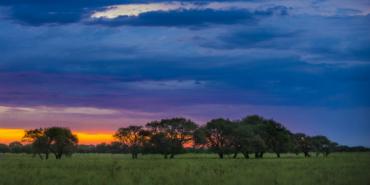 Región de los Llanos Orientales