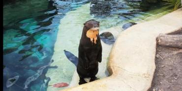 Un lugar para disfrutar de mucho vértigo