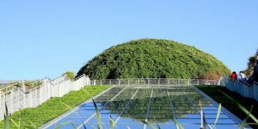 La revolución de los 'techos verdes' en Bogotá