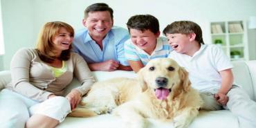 VIS, la vivienda al alcance de todos