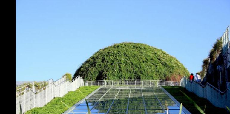 Verde, el nuevo color de la construcción Verde, el nuevo color de la construcción