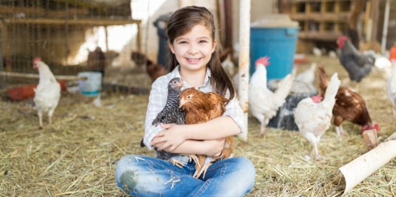 ¿Te atreves? Así puedes ser hogar de paso de vacas, caballos, ovejas o cerdos ¿Te atreves? Así puedes ser hogar de paso de vacas, caballos, ovejas o cerdos