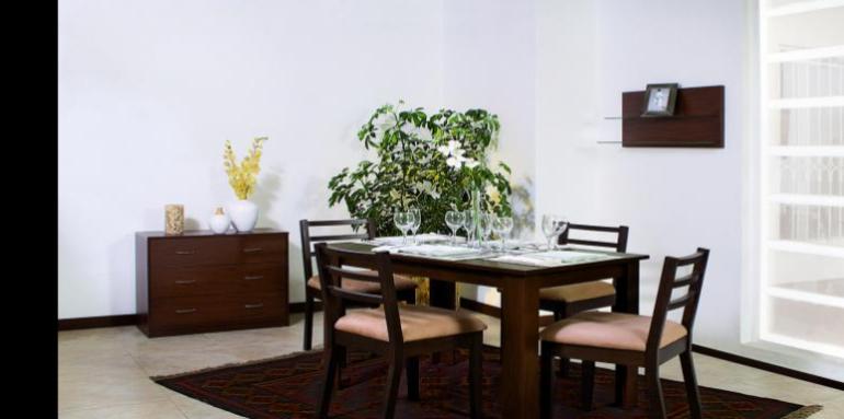 Comedor en madera con tapete café y planta en el fondo