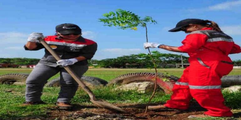 En el 2012 Holcim realizó una jornada de siembra de árboles para contribuir a la protección de cuencas hidrográficas del país.