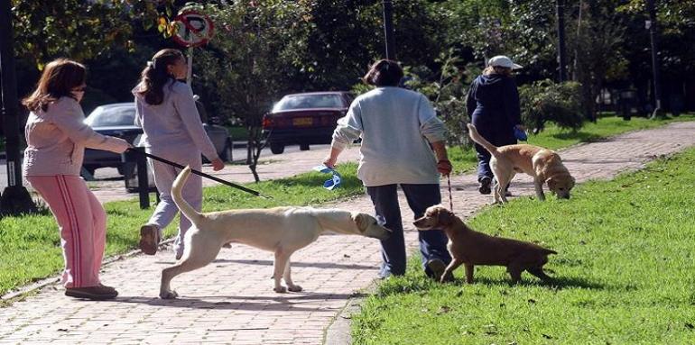 La norma explica que se debe prohibir la dejación de excretas en las zonas comunes. 