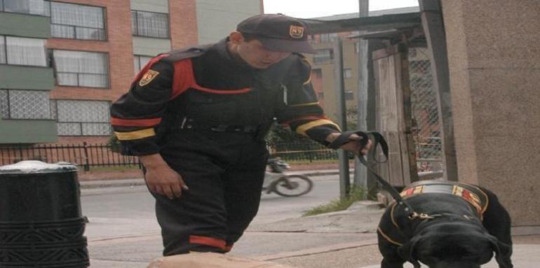 Vigilante con perro revisando paquete en el piso
