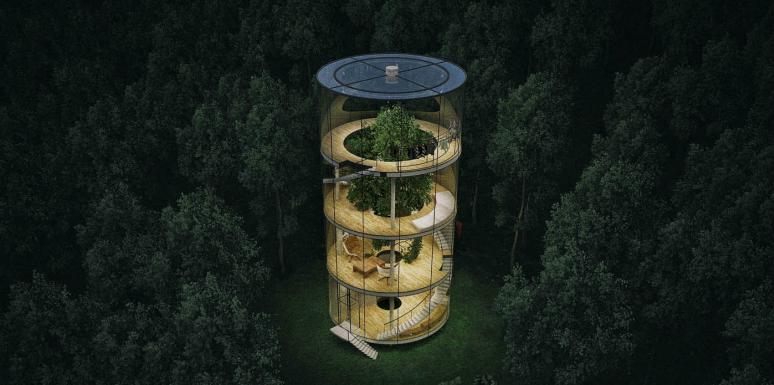 Casa en el árbol - Tree in the House