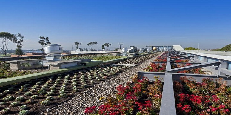 Un nuevo programa que exalta el compromiso con el medio ambiente, e invita a los huéspedes a reducir la huella de carbono 