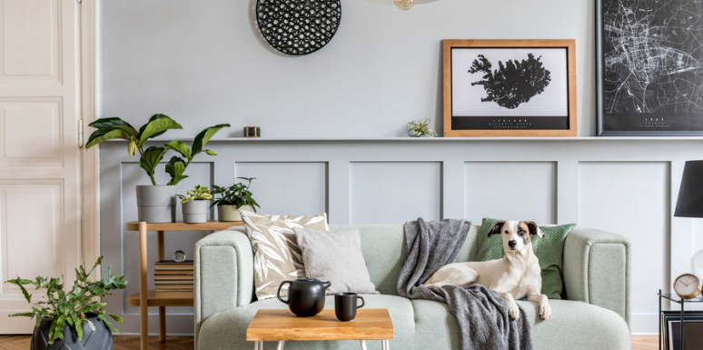 Decoración según tu signo