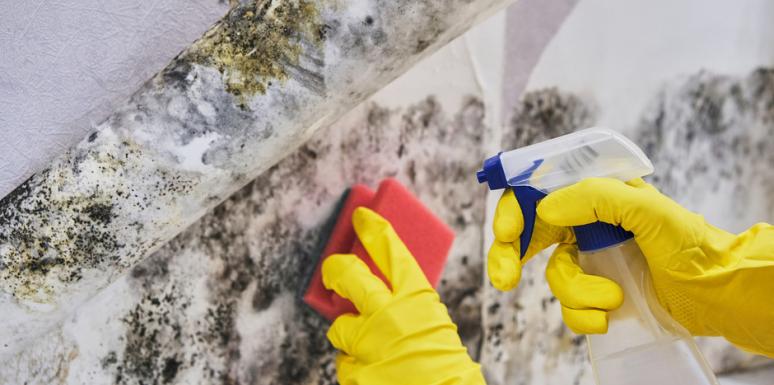 ¿Cómo evitar los hongos en la zona de lavado de tu casa?