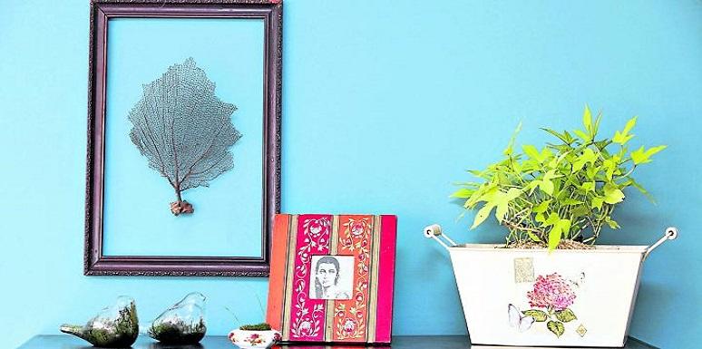 Pared azul, mesa con planta grande encima