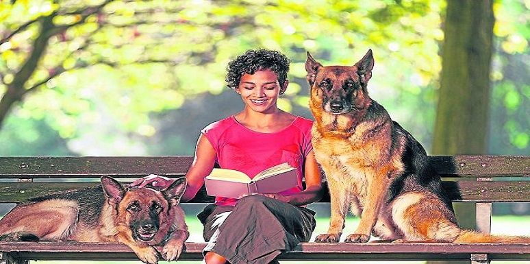 Los perros se adaptan fácilmente y les importa bastante la compañía del humano