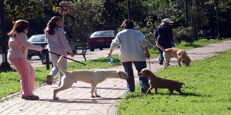 La norma explica que se debe prohibir la dejación de excretas en las zonas comunes. 